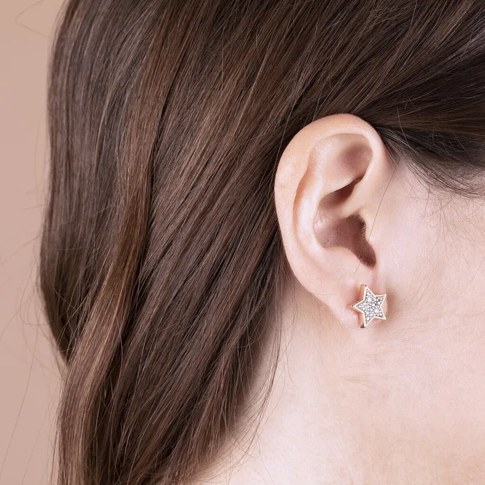 Earrings Bronzallure Orecchini Stella a Lobo con Pav in Cubic Zirconia