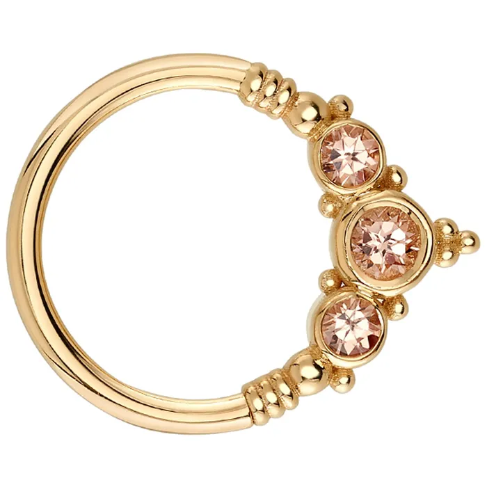 Body Vision BVLA Rings Sylvie Seam Ring in Gold with Champagne Sapphire