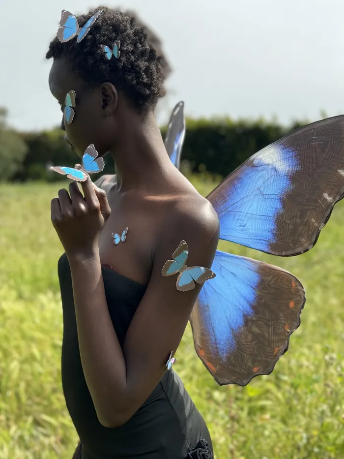 Rings Blue Morpho Butterfly Wings Stonehart Jewelry