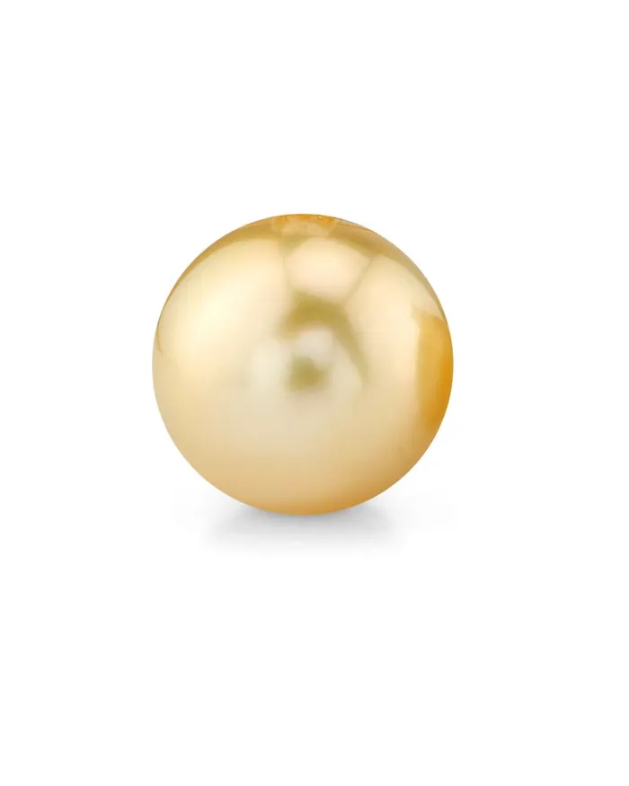 Earrings spt 10mm Golden South Sea Loose Pearl