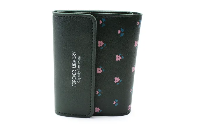 Walkeaze Women Stylish Wallet 2126W Earrings Walkeaze Women Stylish Wallet 2126W Earrings