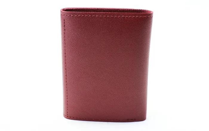 Walkeaze Women Stylish Wallet 2126W Earrings Walkeaze Women Stylish Wallet 2126W Earrings