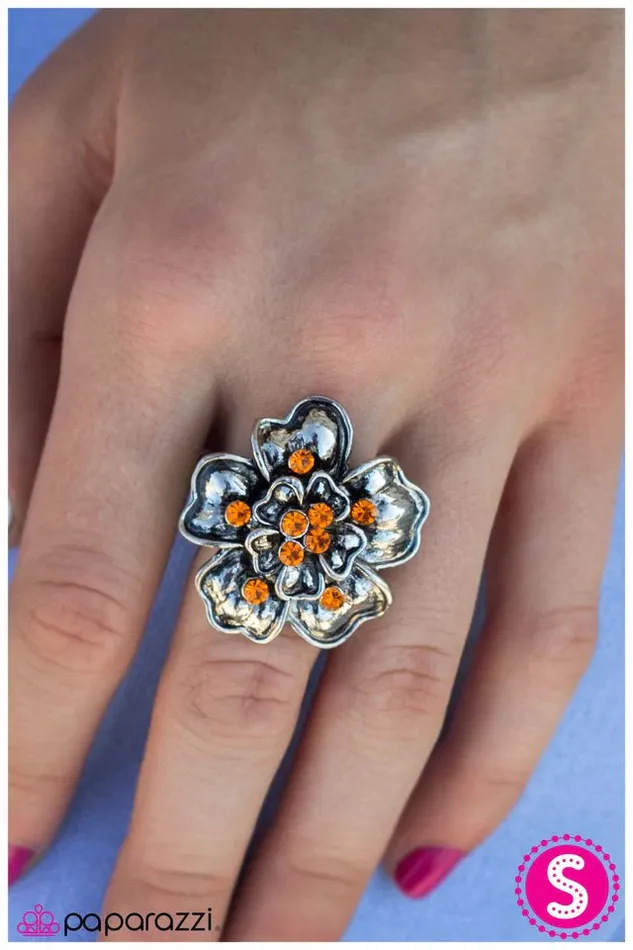 Rings Paparazzi Jewelry Paparazzi Ring Because Im Happy Orange