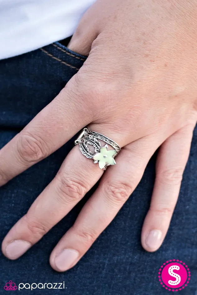 Rings Paparazzi Jewelry Paparazzi Ring Fiji Fling Green
