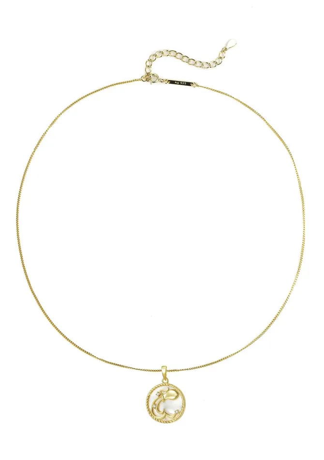 Aquarius Zodiac Pendant Necklace Hey Happiness Necklaces