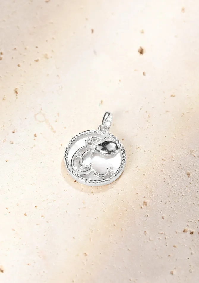 Aquarius Zodiac Pendant Necklace Hey Happiness Necklaces