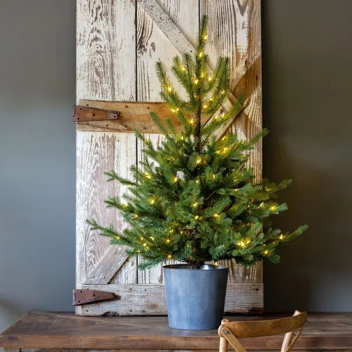 Park Hill Collection Tree Lot Potted Porch Fir Tree Lighted Park Hill Collection Necklaces Park Hill Collection Tree Lot Potted Porch Fir Tree Lighted Park Hill Collection Necklaces