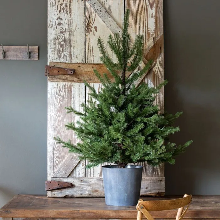 Park Hill Collection Tree Lot Potted Porch Fir Tree Lighted Park Hill Collection Necklaces Park Hill Collection Tree Lot Potted Porch Fir Tree Lighted Park Hill Collection Necklaces