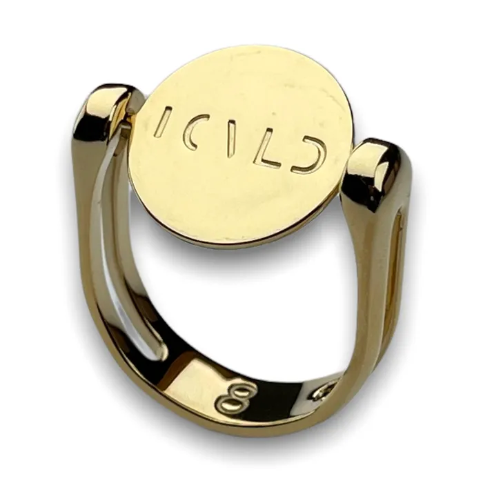 Rings MyCONQUERing LOVED Interchangeable Fidget Ring